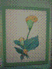 flower show2004 124.jpg